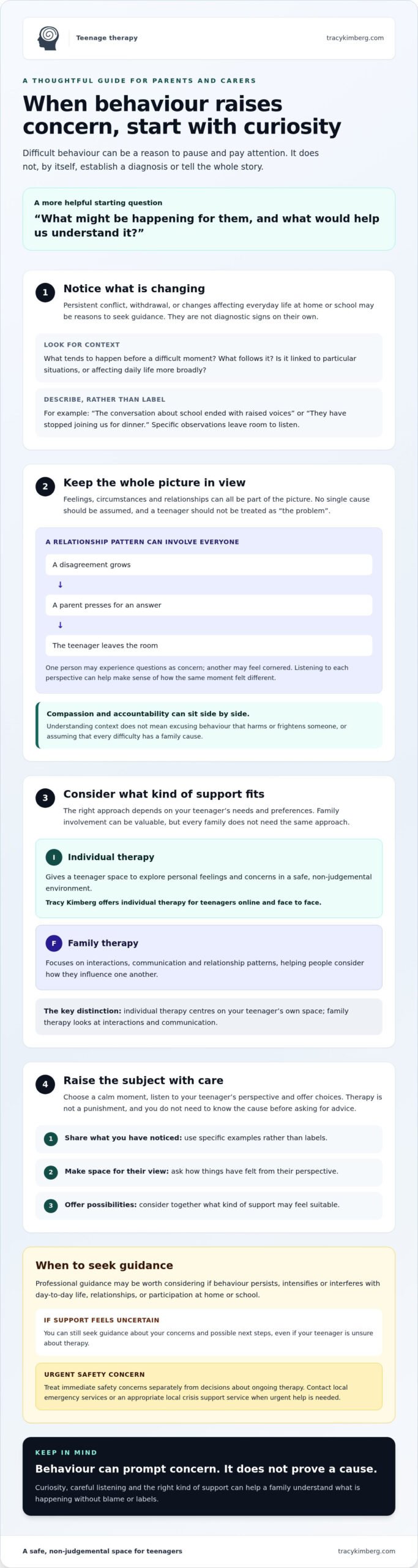 Therapy for Teenage Behavioural Problems: When Can Family Support Help?